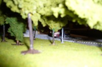 /album/fotogalerie-postup-vystavby-panelu-building-of-railway-layout-continues/a0138-panel-tt-ok-jpg/